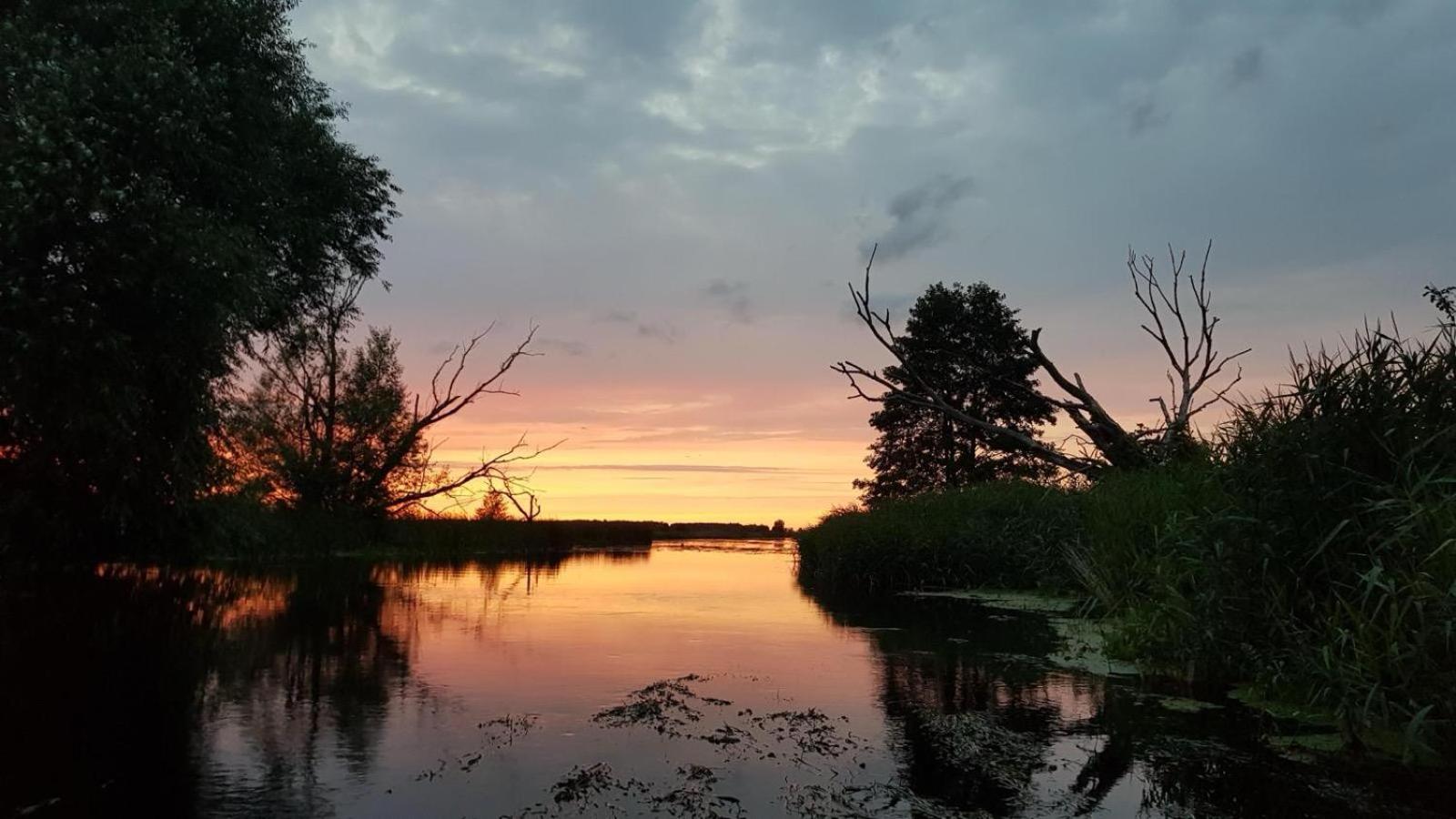 Biebrzanska Osada Villa Stare Dolistowo Exteriör bild