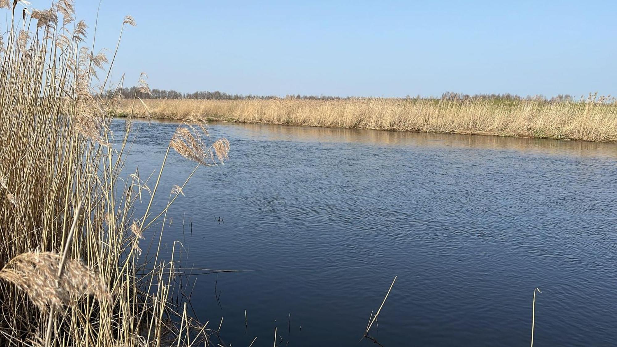 Biebrzanska Osada Villa Stare Dolistowo Exteriör bild